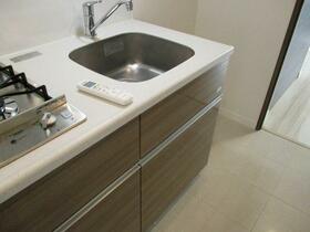 5/16 その他画像