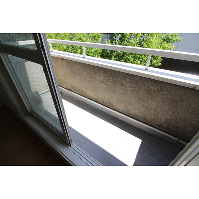 11/21 その他画像