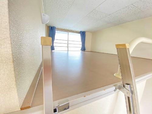 5/17 その他画像