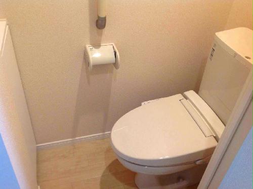 8/13 その他画像