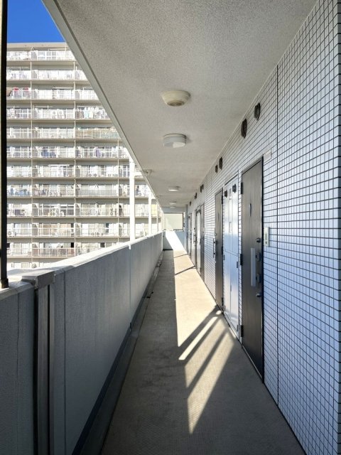 17/24 その他画像