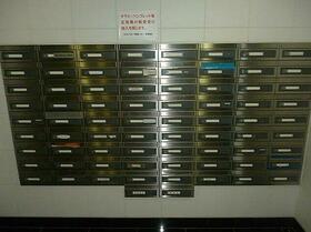 11/15 その他画像