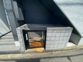 11/11 その他画像