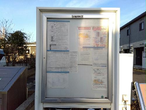 11/14 その他画像