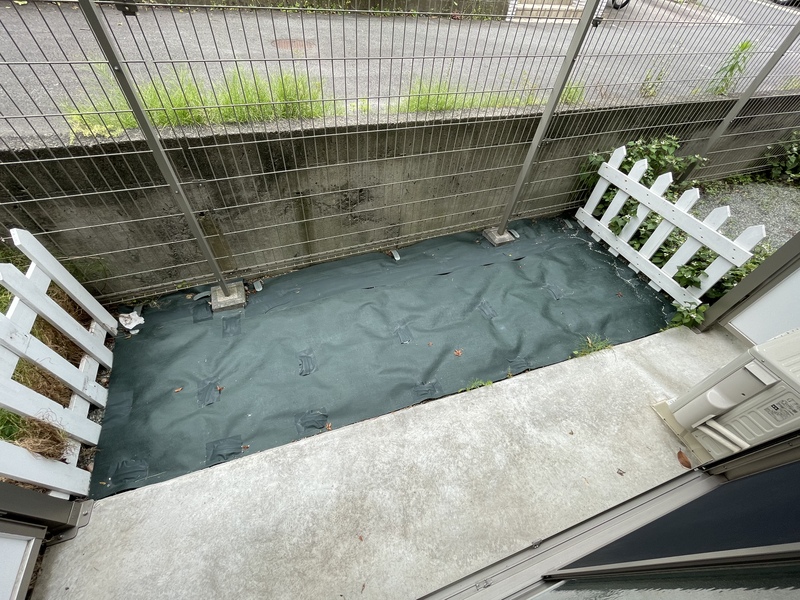 11/17 その他画像