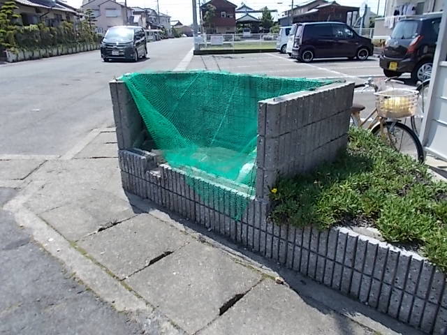 11/19 その他画像