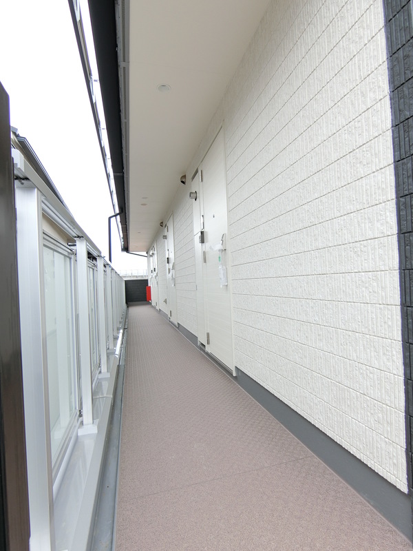 11/11 その他画像