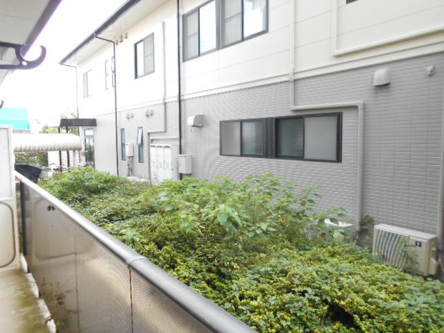 17/28 その他画像