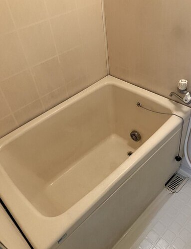 11/11 その他画像