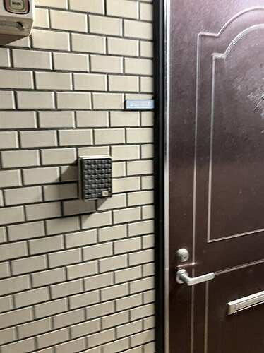 3/11 その他画像