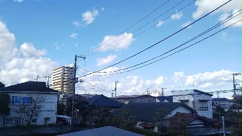 11/14 その他画像