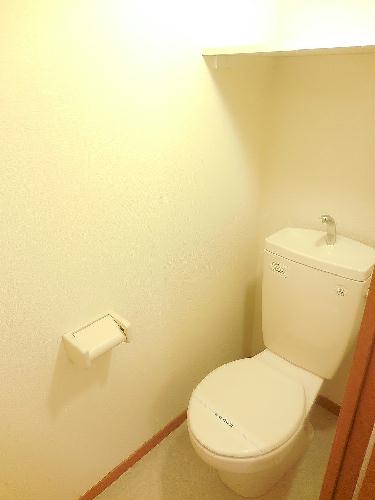 8/18 その他画像