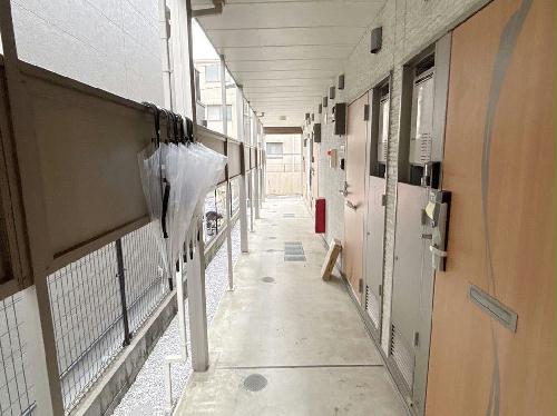 5/13 その他画像