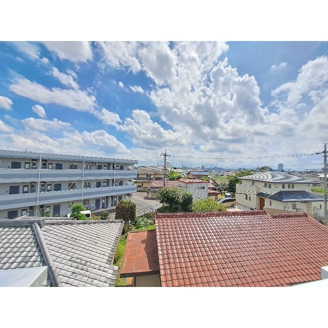 20/30 その他画像