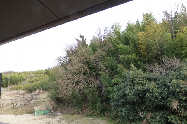 18/24 その他画像