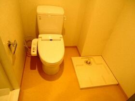 8/16 その他画像