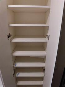 11/11 その他画像