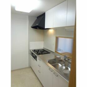 11/14 その他画像