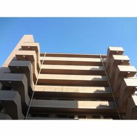 3/14 その他画像