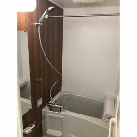 5/12 その他画像