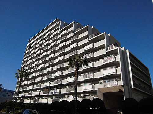 6/11 その他画像