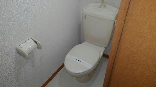 11/14 その他画像