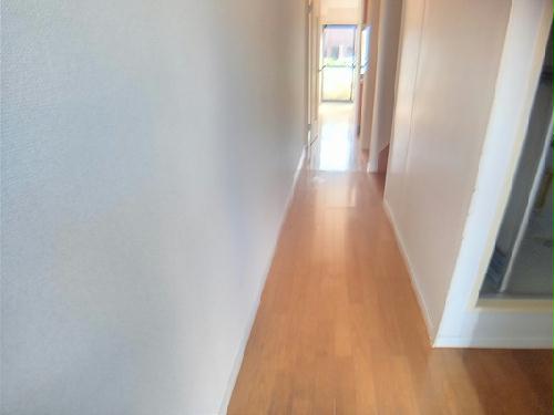 8/17 その他画像