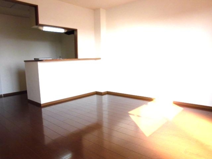 15/28 その他画像