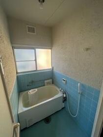 5/15 その他画像