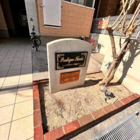 4/11 その他画像