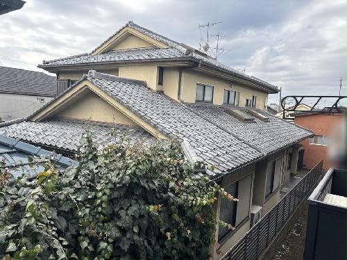 11/14 その他画像