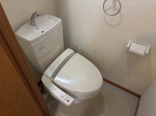 8/14 その他画像