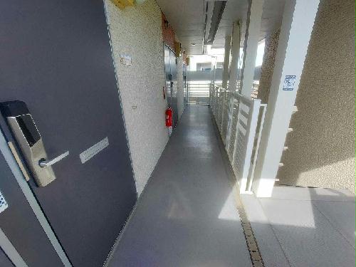 11/14 その他画像