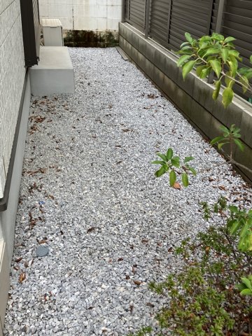 15/20 その他画像