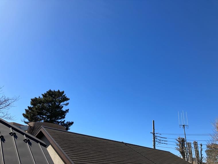 16/20 その他画像