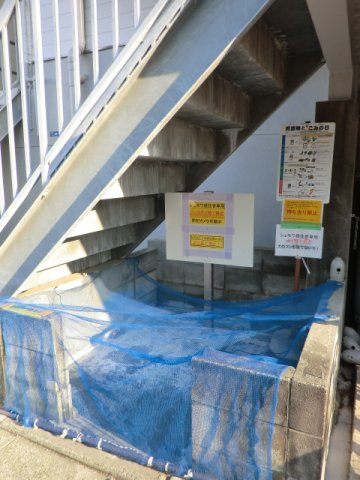 18/25 その他画像