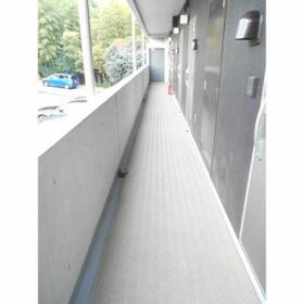 5/15 その他画像