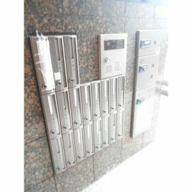 6/15 その他画像