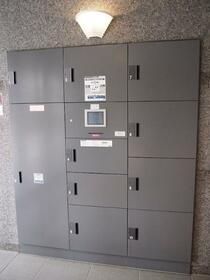 15/16 その他画像