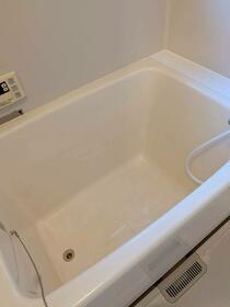 5/11 その他画像