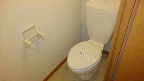 11/14 その他画像