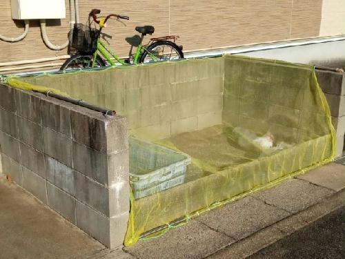 9/13 その他画像