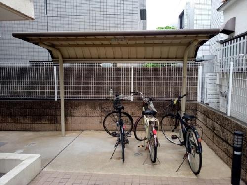 3/13 その他画像