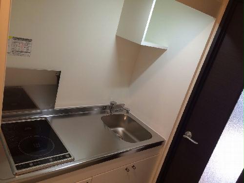 13/14 その他画像