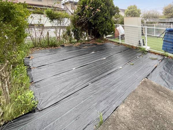 11/16 バルコニー