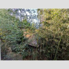 14/14 その他画像