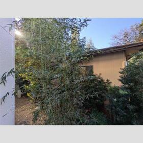 15/15 その他画像