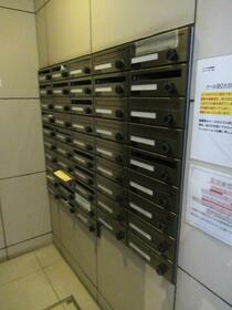 15/16 その他画像