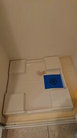 13/16 その他画像