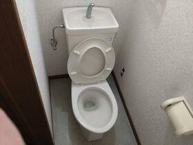 5/11 その他画像